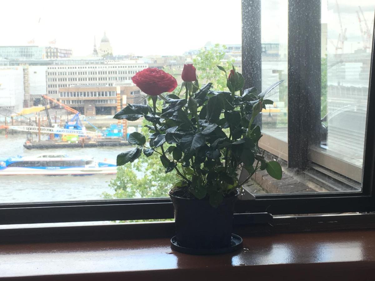 Room In Central London Overview Thames 外观 照片